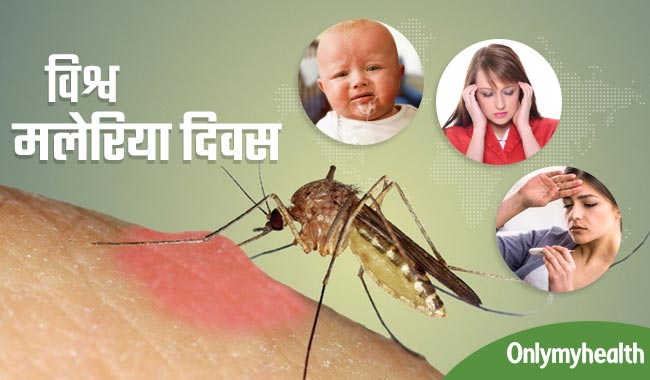 World Malaria Day 2020: मच्छरों के काटने से होती हैं ये 5 गंभीर बीमारियां, ये हैं लक्षण